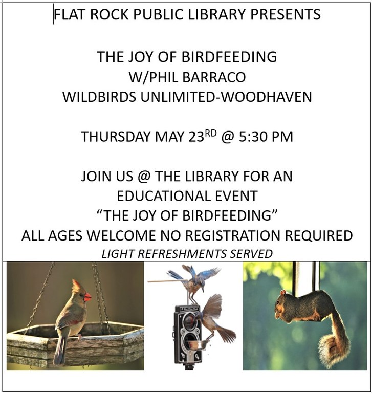 birdfeeding may 2024.jpg
