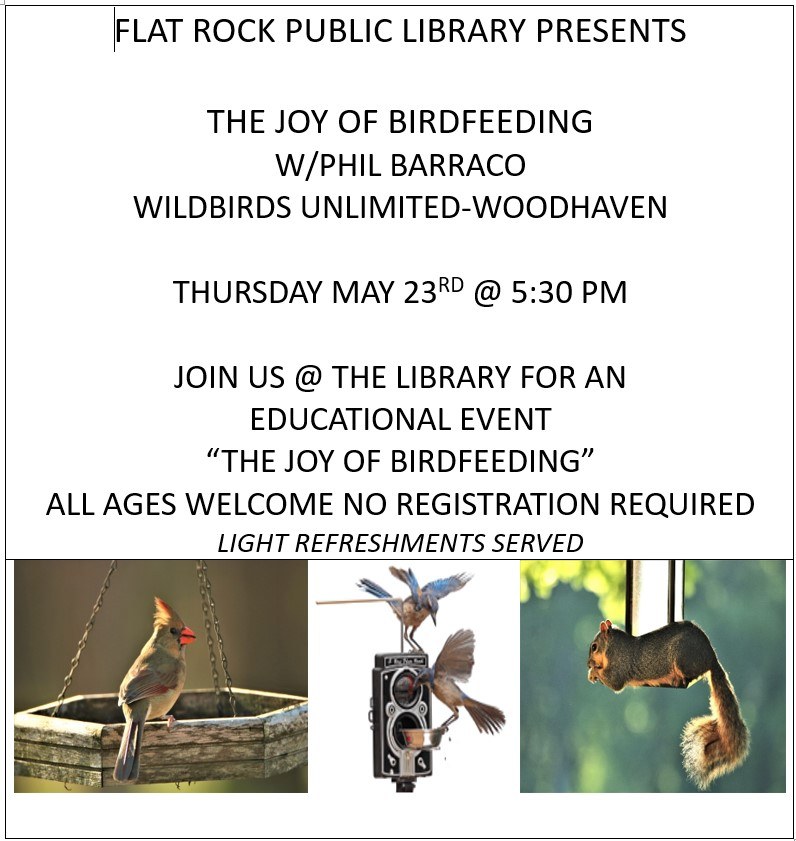 birdfeeding may 2024.jpg