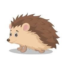 hedgehog picture.jpeg