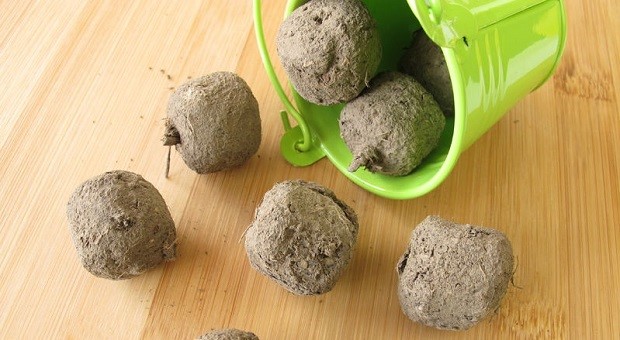 Seed Bombs.jpg