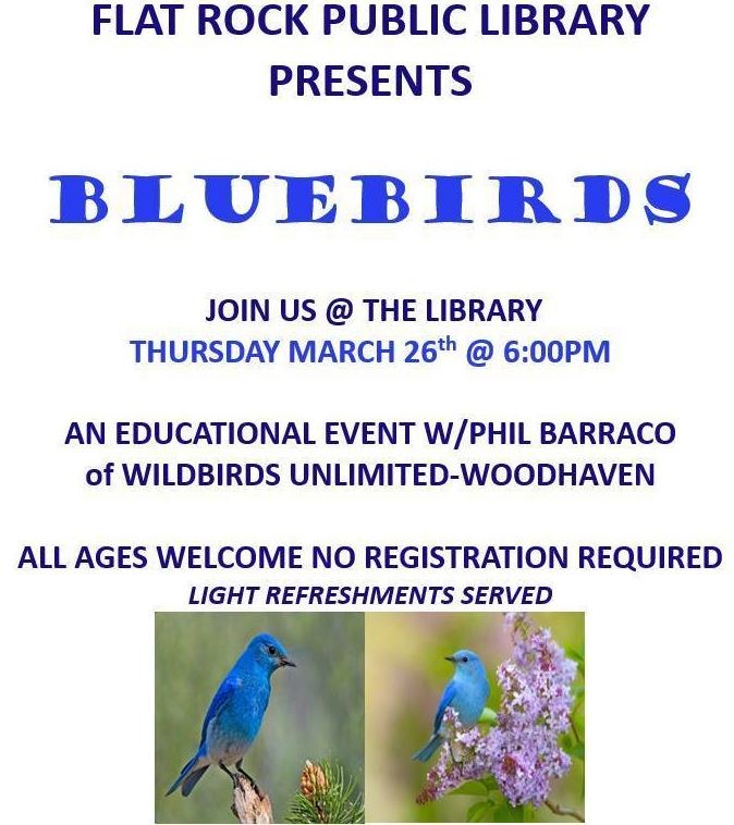 bluebirds march 2026.JPG