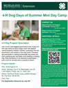 Dog Days of Summer Camp Flyer 2026.gif