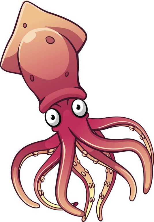 squid.jpg