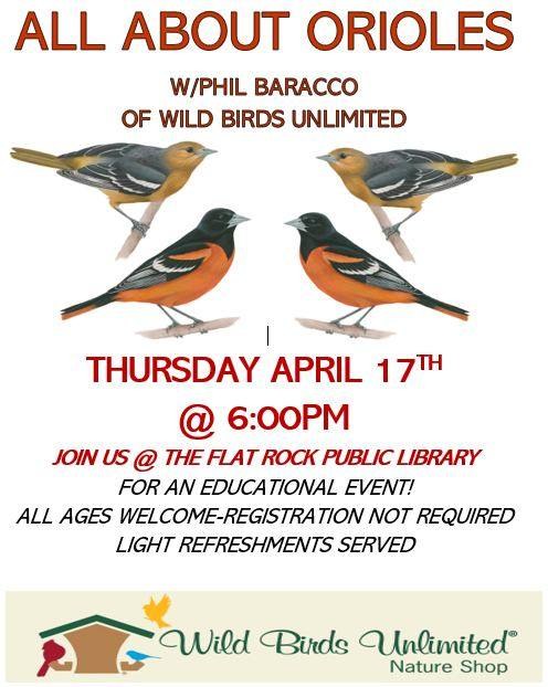 Wild Birds 41725.jpg